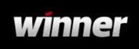 Winner Casino logo